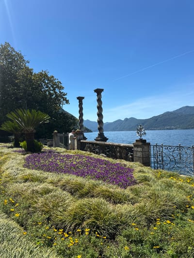 The image depicts a sunlit scene along the waterfront in Varenna, Italy. In the foreground, a lush garden bed features a vibrant display of purple flowers interspersed with feathery green and yellow grasses. Beyond the garden, a stone balustrade runs along the edge of a terrace, adorned with two large, twisted columns. A man in a light-colored shirt and shorts stands near a decorative metal gate, looking towards the water.
The middle ground is dominated by the calm, blue expanse of Lake Como, reflecting the clear sky. In the distance, the picturesque hills of Lombardy rise, their slopes covered in green foliage and dotted with buildings. The sky is a bright, cloudless blue with a faint contrail from an airplane visible. The overall impression is one of serene beauty and a well-maintained, scenic waterfront promenade.