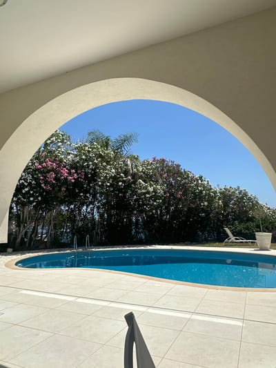 The image depicts a sunlit outdoor scene viewed through a large archway. In the foreground, a pale tiled patio extends towards a curved swimming pool filled with vibrant blue water. The pool has stainless steel steps leading into it. Beyond the pool, a dense hedge of flowering bushes, with abundant white and some pink blossoms, forms a backdrop. A palm tree frond is visible amongst the flowering bushes. Further to the right, a white lounge chair sits on a patch of grass next to a large white planter. The sky above is clear and bright blue. The overall impression is one of a tranquil resort or private residence setting in a warm climate. The location is identified as being in the Kissonerga Community, Cyprus.