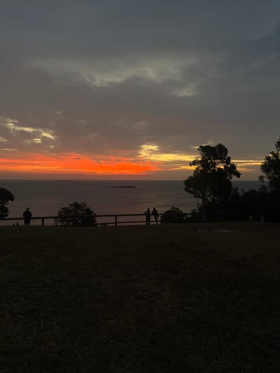 An orange and yellow sunset dominates the sky above a dark ocean. A grassy hill stretches across the right side of the image, where a wooden fence overlooks the water. Silhouetted figures stand near the fence, appearing to watch the sunset. Dark trees frame the water's edge. The left side of the sky is filled with grey, cloudy patches, contrasting with the bright sunset colors.