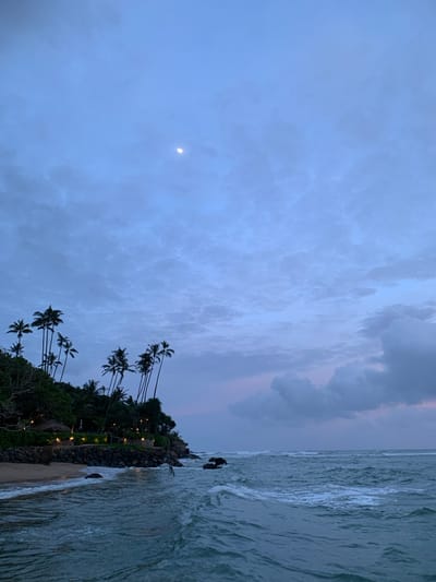 This media file captures a serene twilight scene at a beach in Batawala, Sri Lanka. The image is oriented vertically, with the ocean on the right and the sky dominating the left. The sky is a vast expanse of muted blues and grays, filled with textured, cloudy formations. A faint crescent moon is visible in the upper left quadrant, hinting at the early stages of the lunar cycle. The weather appears calm, with soft, diffused light suggesting either early dawn or late dusk.

The shoreline is a prominent feature, with waves gently breaking on the sandy beach. The water has a textured, slightly turbulent appearance due to the movement of the waves. Along the edge of the beach, a lush green slope rises, densely populated with palm trees. Their slender trunks and feathery fronds are silhouetted against the twilight sky. The slope is dotted with small, warm lights, possibly from lanterns or embedded fixtures, illuminating sections of the vegetation and creating a welcoming ambiance. A stone wall or embankment runs along a portion of the elevated area, further defining the landscape.

A lone figure, dark in silhouette, is visible near the water's edge, adding a sense of scale and quiet contemplation to the scene. The overall mood is tranquil and peaceful, evoking a feeling of a secluded tropical paradise at the end of the day. There is no visible text in the image.