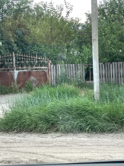 The image depicts an outdoor scene in Congaz, Moldova. A weathered, rusty metal gate with ornate scrollwork stands partially open, revealing a glimpse of a brownish-red surface behind it, possibly another gate or wall. To the left of the gate, lush green trees with dense foliage dominate the background, suggesting a warm, likely summer day. A rough, unfinished concrete post or structure runs horizontally across the upper portion of the image, obscuring some of the trees.
To the right of the gate, a thick, tall growth of vibrant green grass extends towards the foreground, bordering a dirt or gravel path. The path itself shows faint tire tracks, indicating it's a utilitarian area. The overall impression is one of a rural or semi-rural setting, perhaps a yard or entrance to a property that is not meticulously maintained. The lighting suggests daytime, possibly mid-morning or afternoon, with diffused light indicating overcast conditions or that the sun is not directly hitting the scene. No people are visible. The scene evokes a sense of rustic simplicity and a connection to nature, with the overgrown grass and old gate adding character.