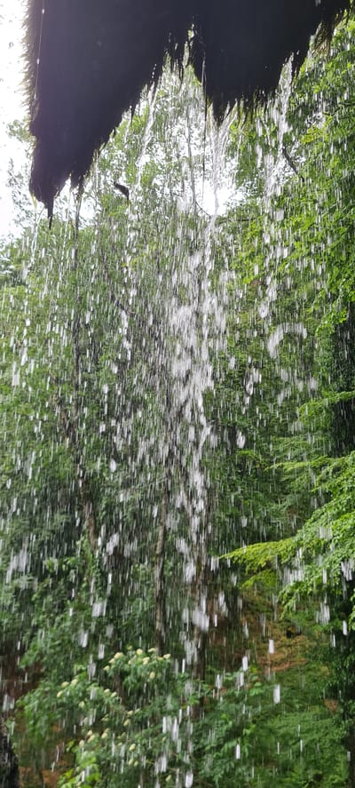 The image, captured in Ribaritsa, Bulgaria, depicts a natural scene characterized by a significant volume of falling water. A dark, textured overhang, appearing to be rock or earth heavily covered in moss, occupies the top portion of the frame, spanning from the upper left to the upper right. From this overhang, water descends in numerous distinct, bright white streaks and droplets, filling the majority of the midground. The background consists of a dense forest or wooded area, primarily composed of vibrant green leaves and indistinct tree trunks in varying shades. Patches of bright white sky are visible through the upper foliage, suggesting an overcast day or strong backlighting. No human subjects, animals, or man-made objects are identifiable within the frame.