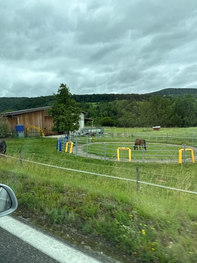 This image depicts a rural scene with a focus on a horse enclosure. In the foreground, a portion of a car's side mirror and a road are visible, suggesting the image was taken from a moving vehicle. The main subject is a circular fenced paddock containing a single dark brown horse grazing on the lush green grass. The paddock has metal fencing with yellow and blue markers. Behind the paddock, a large wooden barn with a white section is situated. Various agricultural equipment, including a blue barrel and yellow machinery, are present near the barn. The background is characterized by rolling green hills covered in dense trees and a cloudy sky. The overall environment suggests a farm or equestrian facility located in a hilly, natural setting. The specific location is identified as being in Zurzach, Switzerland.