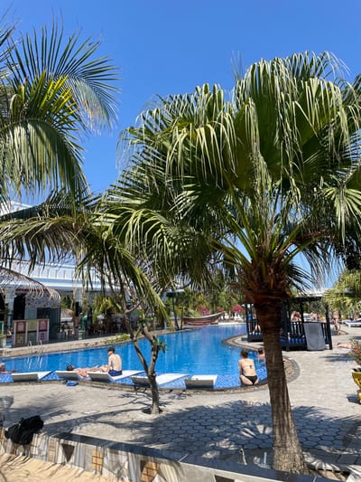 A poolside scene under a clear blue sky is framed by palm trees. People relax by the pool, some sunbathing on loungers, while others are in the water. The pool's edge is lined with grey brick pavers. The scene suggests a tranquil, tropical vacation setting.
