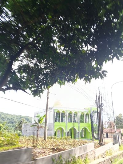 A two-story lime green and white building, possibly a mosque, stands beneath a canopy of green leaves. The building features arched windows and a dome. Lush greenery and trees surround the building. Power lines are visible against the bright sky. A low concrete wall runs along the foreground. A hillside is visible in the background.