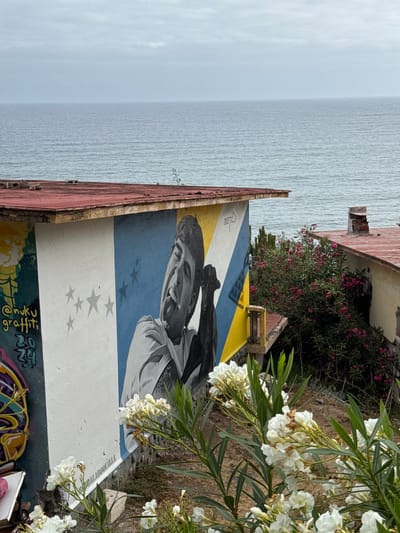 The image depicts a mural painted on the exterior wall of a building, situated in San Cristóbal de La Laguna, Spain. The mural features a black and white portrait of a person, with a portion of their face and upper body visible, rendered in a stylized manner. To the left of the portrait, there are abstract graffiti elements and several grey stars painted on a white background. The wall itself is painted with sections of white, blue, and yellow.
In the foreground, white flowers with green leaves are blooming, partially obscuring the lower portion of the mural and the building's base. Behind the mural, a body of water, likely the ocean, stretches to the horizon under an overcast sky. Adjacent to the muraled building, another building with a red-tiled roof and a brick chimney is visible, partially covered by dense pink-flowering bushes. The overall scene suggests an outdoor setting with a mix of urban art and natural elements.