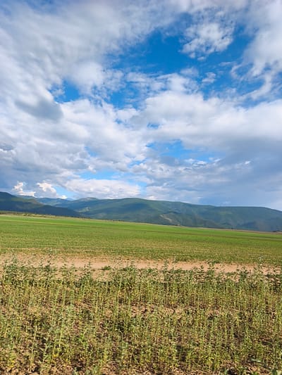 This image depicts a rural landscape with rolling green hills and a vast blue sky filled with white clouds. In the foreground, a field of short, green plants is visible, separated by a dirt path from another larger, lush green field. In the distance, a range of majestic, green mountains stretches across the horizon. The sky is a vibrant blue, with scattered cumulus clouds, some of which are tinged with grey, suggesting a dynamic weather system. The overall impression is one of natural beauty and tranquility. The location is identified as the city of Argada, Russia.