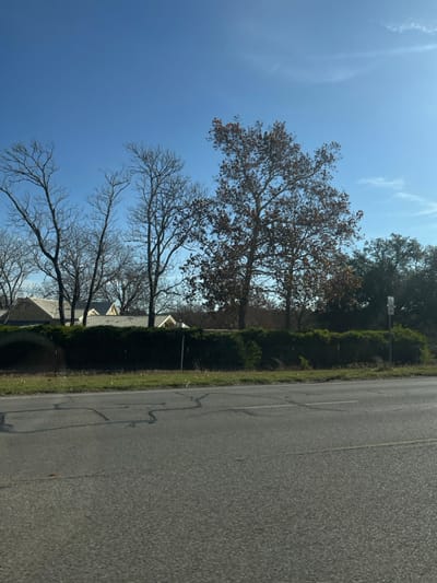 A roadside view features a clear blue sky with faint cloud streaks. Several trees line the side of the road; some have bare branches, while others still hold onto brown leaves. Behind the trees are glimpses of building roofs and dense green shrubbery. The road itself is asphalt, showing cracks and wear.
