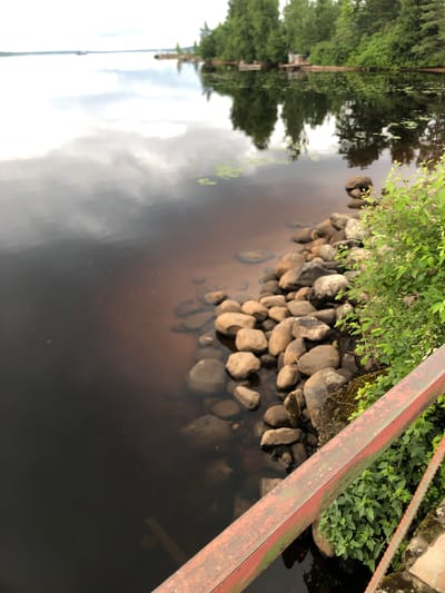 The image displays a close-up view of a riverbank with a rusted metal railing in the foreground, angled diagonally from the top right to the bottom left. The railing appears weathered, with patches of red paint and green moss. To the left of the railing, a collection of smooth, rounded stones lines the edge of the water. Green foliage, with bright green leaves, grows above the stones. The water itself is dark and reflective, showing the blurred reflections of trees and a cloudy sky, suggesting it might be overcast.
Further to the left, a thin, vertical structure, possibly a lamppost or a utility pole, is visible in the reflection, along with the blurred image of trees lining the opposite bank. The scene evokes a natural, somewhat rustic setting, perhaps a park or a quiet riverside area. The water's surface is mostly still, with subtle ripples and a few small, scattered particles. No people are visible in the image. The lighting suggests it is daytime, but the overcast sky contributes to a muted and calm atmosphere. The location context provided is Svirstroy, Russia, which aligns with the natural and potentially somewhat undeveloped scenery. There is no visible text within the image.