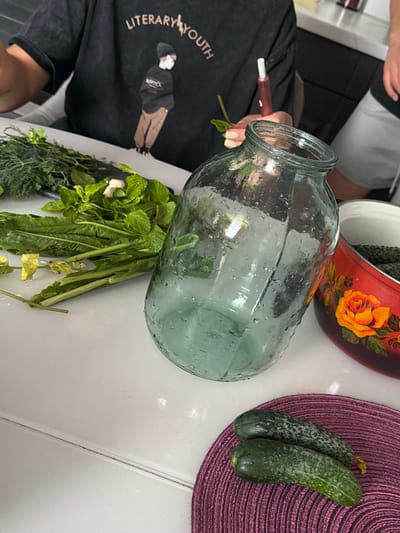 The image shows a close-up view of a kitchen counter where someone is preparing ingredients for pickling. In the foreground, there are two cucumbers lying on a purple woven placemat. To the left of the cucumbers is a large glass jar, appearing to be used for preserving. Next to the jar, there's a bundle of fresh herbs, possibly dill and mint, along with what looks like a clove of garlic. A red pot decorated with a large yellow rose is visible to the right of the jar, containing more cucumbers. In the background, a person is wearing a black t-shirt with "Literary Youth" printed on it and is holding a small red object, possibly a spice or flavoring, near the mouth of the jar. The scene is set on a white countertop. The context of Novoaleksandrovka, Russia, is not discernible from the visual information provided in the image.