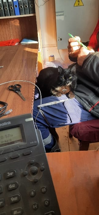 A cluttered workspace features a black cat perched on a person's lap. The individual wears blue work pants with reflective stripes and a dark jacket. A black Yealink phone sits prominently in the foreground, its screen displaying "10:57 pm." Scissors, a USB cable, and various items are scattered on the wooden surface. A cabinet with ring binders is visible on the left, and an electrical hazard symbol is nearby.
