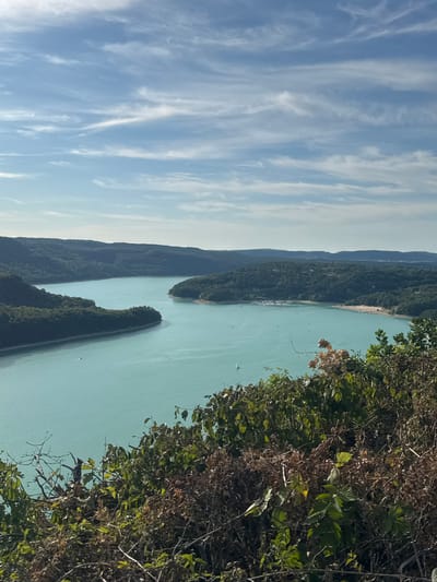 This is a landscape photograph of a wide, turquoise lake surrounded by lush, green, tree-covered hills under a bright blue sky with wispy white clouds. In the foreground, dense foliage and branches partially obscure the view of the lake and hills. The lake curves into the distance, with a small beach visible on its right bank and a cluster of moored boats in a bay on the left. A few small boats are scattered across the water. The scene is likely the Lac de Vouglans, located in the Jura region of France, near Moirans-en-Montagne. No people are visible in the image.