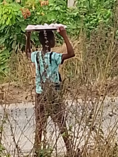 The image shows a blurry, outdoor scene featuring a person, likely a child or young individual, carrying a tray on their head. The person is positioned centrally in the frame, facing slightly to their left, with their back largely visible. They have dark skin and are wearing a light-colored, possibly teal or light blue, short-sleeved shirt that features a darker, patterned design.

On their head, the individual is balancing a flat, rectangular tray or container, which appears to be white or a very pale pinkish hue. The tray contains several indistinct individual items, possibly baked goods such as rolls or pastries, though the blurriness of the image prevents clear identification. The person's arms are raised with their hands lightly touching the sides of the tray, suggesting they are assisting in balancing the load.

The background is filled with vegetation. The upper part of the image shows lush green foliage, indicative of trees or dense bushes. Below this, and extending into the mid-ground and foreground, is drier, lighter brown vegetation, composed of numerous tall, thin stalks or dried grasses, which partially obscure the person's lower body. Through the sparser lower vegetation, a light greyish area is discernible, which could be a road, path, or a body of water.

The lighting suggests it is daytime, with no harsh shadows indicating a particular time of day. The overall scene appears to be an everyday activity. Due to the image's blurriness and resolution, no specific emotions or fine details are discernible, and there is no visible text.