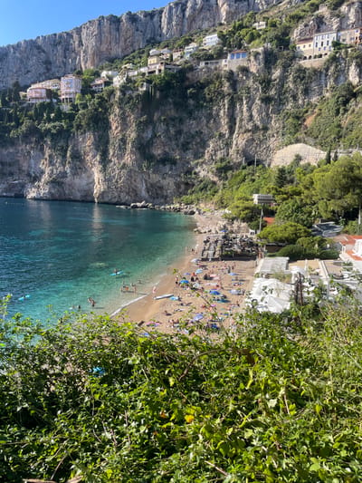 This elevated panoramic image depicts Plage Mala, a beach in Cap-d'Ail, France, under clear blue skies. The scene is viewed from an elevated position, with lush green foliage partially obscuring the lower foreground.

The central feature is a crescent-shaped beach composed of sand and small pebbles, densely populated with individuals. Approximately 70-100 people are visible on the beach, engaged in sunbathing, sitting, or walking. Numerous beach towels and parasols, predominantly blue and multicolored, are spread across the sand. Towards the right side of the beach, a structured area features dark-colored sun loungers and tables under shade, indicative of a beach club or restaurant. Further right, white buildings with white market umbrellas are visible, suggesting additional recreational facilities.

The Mediterranean sea, characterized by its clear turquoise and deep blue waters, laps the shore. Approximately 20-30 people are present in the water, swimming, wading, or utilizing personal watercraft. At least two individuals are on light blue paddleboards, and one person is on a white surfboard. Buoys are visible in the water, demarcating areas.

Dominating the background are steep, light-colored limestone cliffs rising sharply from the sea. These cliffs are partially vegetated with green scrub and trees. Numerous multi-story buildings, varying in architectural style and color (e.g., pink, white, beige), are constructed onto the cliff faces and terraces, extending up the incline. A dark tunnel entrance, accompanied by scaffolding, is visible on the cliff face towards the right side of the image, suggesting a road or railway infrastructure.