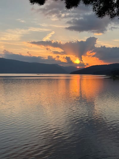 A vertical landscape photograph captures a sunset over the Dospat Reservoir in Dospat, Bulgaria. The sky exhibits a gradient of light blue in the upper left, transitioning to orange and yellow hues near the horizon, dominated by a vibrant orange-yellow sun partially obscured by dark grey and illuminated orange clouds in the middle right, emitting visible crepuscular rays. Silhouetted mountains form the distant shoreline, spanning horizontally across the midground. The expansive water surface of the reservoir reflects the intense sunset colors, creating a prominent orange and golden streak leading towards the foreground, where the water is darker grey-blue with discernible ripples. A small cluster of dark objects, possibly birds or buoys, floats on the water in the mid-left distance. A dark, silhouetted pine branch with needles extends into the upper right corner of the frame. No human figures or direct actions are present.