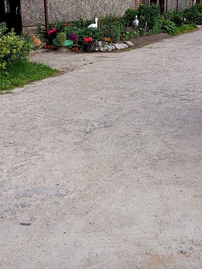 The image shows a residential area in Birži, Latvia, with a focus on a paved pathway and a garden. A ginger cat is seated on the pathway next to a lush green bush. The garden features an assortment of colorful flowers, including pink, purple, and red varieties, arranged in planters and directly in the ground. Two decorative stork figures stand among the plants. In the background, a building with a textured, grey facade and a dark door is visible. The pathway is made of light-colored gravel and is slightly uneven. The overall scene suggests a well-maintained outdoor space adjacent to a dwelling.