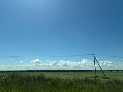 The image depicts a vast, open landscape under a clear blue sky with scattered white clouds. In the foreground, tall green grass and vegetation border a mowed field of green grass that stretches towards a distant treeline. A solitary utility pole with wires leaning precariously stands in the middle ground. Beyond the field and treeline, a large, dark mound of material is visible on the horizon, possibly a landfill or industrial waste. In the far distance, structures that appear to be agricultural buildings or industrial facilities are present. The scene is set in Myaglovo, Russia, suggesting a rural or semi-industrial environment. There are no people or animals visible in the image.