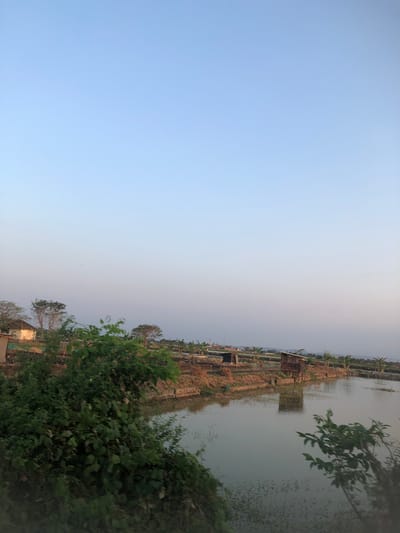 The image captures a serene rural landscape, likely in Sentul, Indonesia, characterized by a tranquil body of water reflecting the pale blue sky. The foreground is dominated by lush green foliage, suggesting a natural setting. Beyond the greenery, a raised embankment separates the water from the land, which is dotted with small, weathered structures. These structures appear to be simple huts or sheds, some built on stilts over the water. The land also shows signs of cultivation, with rows of young trees, possibly banana plants, visible in the middle ground. In the distance, a few more buildings can be discerned, including what looks like a small residential house with a light-colored wall and a brown roof, and further back, hints of more urban development with buildings and a prominent minaret. The overall impression is one of a peaceful, agricultural area on the outskirts of a populated region, bathed in the soft light of what appears to be late afternoon or early morning. The environment is tranquil, with no visible human activity.