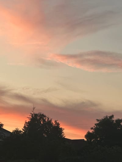 This is a vertical, low-angle, outdoor photograph of a sky at dusk, possibly taken in Zvenyhorodka, Ukraine. The sky exhibits a gradient of colors, transitioning from a pale yellow at the top to shades of pink and orange near the horizon. Wispy clouds, tinged with pink, are scattered across the sky. In the foreground, silhouetted against the colorful sky, are the tops of dark green trees, including a tall pine tree with intricate branches. Below the trees, the dark silhouettes of rooftops and possibly power lines are visible along the horizon, suggesting an urban or suburban setting. The overall impression is one of a serene, twilight scene.