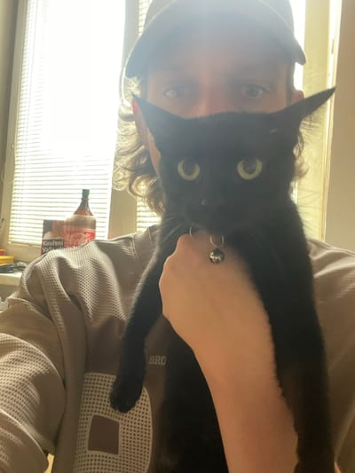 The image shows a person holding a black cat. The person is wearing a grey hooded sweatshirt and a dark beanie. The cat's face is visible, and it has green eyes and a small bell on its collar. The person's face is partially obscured by the cat and is angled away from the camera. The scene appears to be indoors, with a window covered by blinds in the background. A large bottle of Coca-Cola is visible on a surface near the window. The lighting suggests it might be daytime, with sunlight coming through the window. There is some text visible on the person's sweatshirt, but it is partially obscured and illegible. The overall mood is casual and intimate, with the person and cat appearing to be comfortable together.