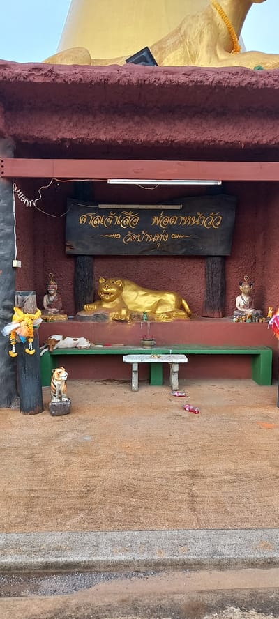 The image shows an outdoor altar in Ban Thung, Thailand. The altar is inside a small, rustic structure with maroon-colored walls and brown support beams. A golden tiger statue reclines on the altar. Above it, a black wooden sign with gold lettering is mounted. Various smaller figurines and offerings surround the tiger. Outside the altar, a small white and brown dog rests, and a small bench is visible. The surrounding ground is a light tan color. A portion of a large golden statue is visible to the left of the altar.