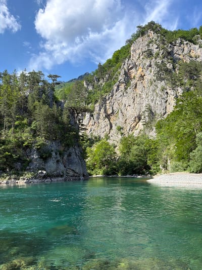 The image depicts a natural scene with a steep, rocky cliff face covered in lush green vegetation and trees. A clear, turquoise river flows along the right side of the frame, its surface rippled by the gentle movement of the water. The riverbed is visible in some areas, with rocks and submerged vegetation adding to the depth and clarity of the water. The cliff appears to be composed of sedimentary rock, with visible striations and layers. A few scattered trees grow precariously from the cliff face, their roots clinging to the rock. The sky is a vibrant blue, with a few wispy white clouds. The overall impression is one of natural beauty and tranquility, with the vibrant green of the vegetation and the cool blue of the river creating a refreshing and inviting atmosphere. The scene appears to be bathed in natural sunlight, suggesting it is daytime. The location is Bistrica, Montenegro. There is no visible text.