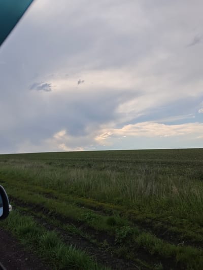 The image shows a field under a cloudy sky. The field is green, with some taller grasses in the foreground and a lower, denser crop in the background. The ground in the immediate foreground appears dark, possibly wet soil. There is a reflection of a side mirror of a vehicle on the left. The scene looks like it was taken on a road, likely in a rural area. The location being Etoka, Russia, is not visible in the image.