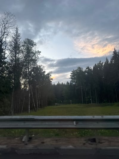 The image captures a roadside view of a forest and a cloudy sky. A metal guardrail runs across the foreground, obscuring the lower portion of the scene. Beyond the guardrail, a grassy area is visible, with a dense forest bordering it. The forest consists of a mix of deciduous trees, including birch trees with their characteristic white bark, and evergreen trees. The sky is overcast with dark gray clouds, but there is a patch of light orange and yellow glow on the horizon, suggesting the sun is setting or has recently risen. The scene appears to be in a rural or semi-rural area, possibly on the outskirts of a city like Shchelkovo, Russia, given the dense tree line and lack of significant urban development. No people are visible in the image.