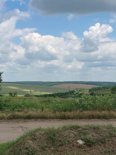 The image captures a panoramic view of rolling hills and cultivated fields under a sky with scattered cumulus clouds. The foreground features a dirt road with dry grass and some vegetation. Beyond the road, lush green bushes and wild flowers are visible. The middle ground consists of undulating fields, some appearing as harvested stubble and others with green crops, possibly wheat or barley, with a prominent utility pole. The background shows more distant hills with a treeline and the horizon. The scene is devoid of any people or animals. The lighting suggests it is daytime, likely late morning or early afternoon, given the shadows cast on the landscape. The overall impression is one of rural tranquility and agricultural activity. The location is identified as Chorna, Ukraine.