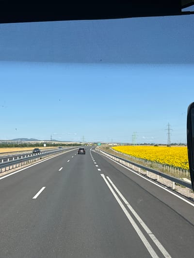 The image depicts a highway scene on a clear, sunny day. A dark-colored sedan is driving in the right lane of the multi-lane highway. To the right of the highway, a vast field of bright yellow sunflowers stretches towards the horizon. In the distance, power lines and pylons are visible, along with rolling hills and some trees. The highway has white lane markings. The perspective is from inside a vehicle, looking forward through a windshield that has a speckled pattern. The location is identified as Prolesha, Bulgaria.