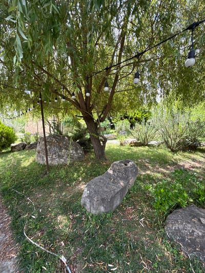 In the city of Mirikənd, Azerbaijan, a natural scene unfolds under a canopy of willow-like trees. String lights with white bulbs are suspended from a black wire, casting a soft glow over the area. Several large, weathered rocks are scattered across the grassy terrain, some partially covered by fallen leaves. A long, white hose snakes its way across the ground, disappearing behind one of the larger stones. In the background, a stone building with a pitched roof is visible, partially obscured by foliage. The overall ambiance is one of a serene outdoor space, possibly a garden or park.