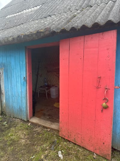 An open, weathered outdoor cellar door with a red upper portion and a blue lower portion is ajar, revealing a glimpse into the cellar's interior. A grey, corrugated roof overhangs the entrance. The door is secured with an open gold padlock and a simple hasp. The cellar interior appears to contain miscellaneous items including a white plastic container, a plastic bottle, a white chair, and a black plastic bag. The foreground is a patch of grass and dirt. The scene is located outdoors in Студзёнкаўскі сельскі Савет, Belarus.