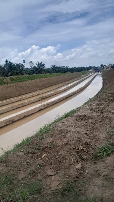 Parallel waterways cut through a brown field, filled with muddy water reflecting the cloudy blue sky above. Vegetation lines the waterways. Palm trees and greenery are visible in the background against the sky. The field's earth is textured and uneven, with patches of grass on the sides of the waterway.