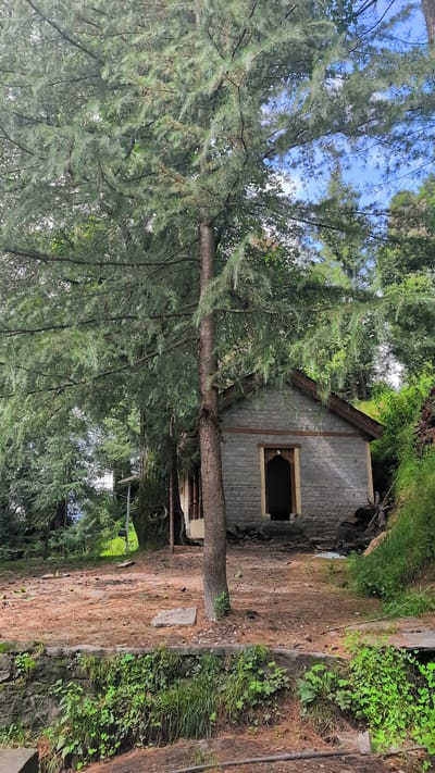 In Pangan, India, a small, ancient stone building with a wooden-framed doorway is nestled amongst lush green trees. A large pine tree with dense foliage dominates the foreground, its trunk positioned slightly left of center. The building's exterior walls are constructed from light-colored stone blocks, and it has a dark, pitched roof with decorative wooden trim. The area in front of the building is covered in a thick layer of pine needles and dry leaves, with scattered stones. To the right of the building, a grassy slope rises, covered in greenery. In the foreground, a low stone wall supports a variety of plants and grasses, with more greenery visible on the right side of the image. The sky is partly cloudy, with patches of blue visible through the trees. The scene appears to be tranquil and secluded.