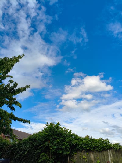 A low-angle outdoor shot captures a vibrant blue sky filled with scattered white cumulus clouds. On the left, the leafy branches of a tree extend into the frame, their dark green foliage contrasting with the bright sky. Below the tree and to the right, a line of lush green bushes and trees forms a dense hedge. Partially visible behind the hedge on the left is the brown tiled roof of a building. A weathered wooden fence runs horizontally across the bottom of the image, supporting some of the greenery. The scene is consistent with a residential garden in Wychavon, United Kingdom, under a partly cloudy sky. No people or animals are visible.