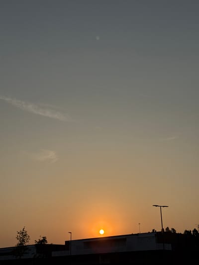 The image depicts a sunset over a city, with the sun a bright, glowing orb low on the horizon. The sky transitions from a pale orange near the horizon to a muted grey at the top of the frame. Wispy clouds are visible in the sky. In the foreground, silhouetted against the sunset, are the dark outlines of buildings, trees, and a lamppost. The architecture appears modern and low-rise. The overall scene conveys a sense of calm and the end of the day. The location is identified as Mejaniga, Italy.