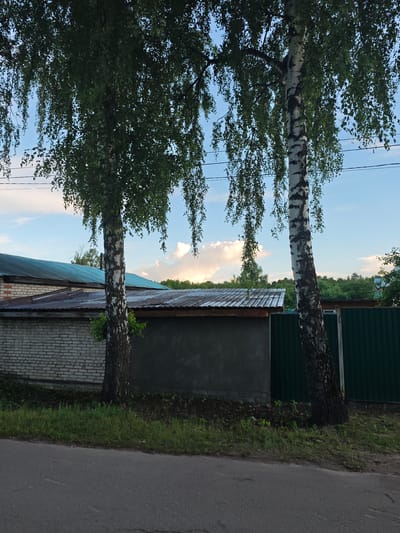 In the city of Rodniki, Russia, two birch trees with drooping branches stand prominently in the foreground, their white bark with black markings visible. Behind them, a low-lying building with a corrugated metal roof and light-colored brick walls is situated. Further back, a dark gray plastered wall is visible, adjacent to a tall, dark green metal fence. The sky above is a clear blue, with scattered white clouds, and power lines stretch across the upper portion of the image. A paved road is in the lower foreground. The scene is set outdoors during daylight hours, with a focus on the natural and man-made structures of the environment.