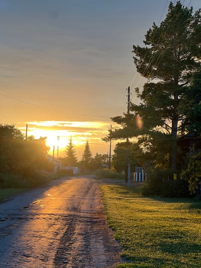 This media file depicts a rural road in Pivkino, Russia, at sunset. The scene is bathed in the warm, golden light of the setting sun, which illuminates the sky with streaks of orange and yellow. The road, likely unpaved, runs diagonally through the frame, reflecting the sky's colors and appearing wet in places, suggesting recent rain or dew.
To the left of the road, tall trees with dense foliage dominate the landscape, with power lines strung between wooden poles crisscrossing the sky. In the distance, scattered houses and outbuildings are visible amidst the greenery, hinting at a small, settled community. To the right, a field of tall grass or crops stretches out, also catching the sunset's glow and creating a textured, golden expanse.
The overall mood is peaceful and serene, characteristic of a quiet evening in the countryside. The time of day is clearly sunset, given the low angle of the sun and the intense, warm colors in the sky and on the landscape. There are no people visible in the image, and no text is present. The scene evokes a sense of natural beauty and the tranquil rhythms of rural life.