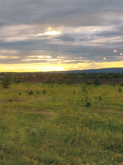 The image depicts a rural landscape bathed in the warm glow of a setting sun. The sky is a dramatic canvas of grey and white clouds, with bright shafts of sunlight breaking through, illuminating the horizon in a vibrant yellow and orange hue. A low-lying mountain range, cloaked in a deep blue, forms the backdrop against this radiant sky.
In the mid-ground, a dark, plowed field stretches horizontally, bordered by a band of lush green trees. Beyond the trees, further in the distance, power lines and pylons are visible, hinting at the presence of civilization, though the overall scene evokes a sense of untouched nature.
The foreground is dominated by a vast meadow, a tapestry of various shades of green, interspersed with patches of yellow and small white wildflowers. Scattered throughout the meadow are small, sparsely leaved trees and shrubs, adding depth and texture to the landscape. The grass appears tall and slightly wild, suggesting an uncultivated area. The overall impression is one of serene natural beauty at the close of day. This scene is characteristic of the outskirts of the city of Volsk, Russia, where agricultural land and natural meadows meet the foothills.