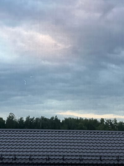 A tiled roof in the foreground, with a dense line of dark green trees forming the middle ground. The background is a cloudy sky with patches of lighter illumination, suggesting overcast or dawn/dusk conditions. The image appears to be taken through a mesh screen, indicated by the subtle grid pattern overlaying the scene. No people or specific actions are visible.