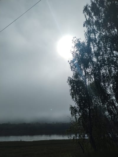 The image captures a misty, atmospheric scene by a river, likely in Lagerevo, Russia. A large, bright sun is partially obscured by fog and clouds, casting a diffused light. In the foreground, a silhouetted tree with dense foliage stands to the right, its branches reaching towards the sky. A thin, dark wire stretches diagonally across the upper left portion of the frame. The middle ground shows a calm river reflecting the muted sky, with a dark, treed shoreline in the distance shrouded in fog. The immediate foreground is a grassy field, appearing dark and out of focus. The overall impression is one of a tranquil, somewhat somber natural landscape.