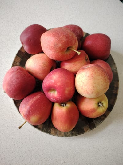 A bowl of red and pink apples sits on a speckled countertop. The bowl is dark brown with a mosaic pattern. There are at least twelve apples visible, some are fully red, while others have patches of yellow and green. One apple in the center has a stem. The scene is lit with overhead light, casting soft shadows. The background is a plain, light-colored wall. There is no text visible in the image. The location is specified as Кривец, Russia, and it is daytime.