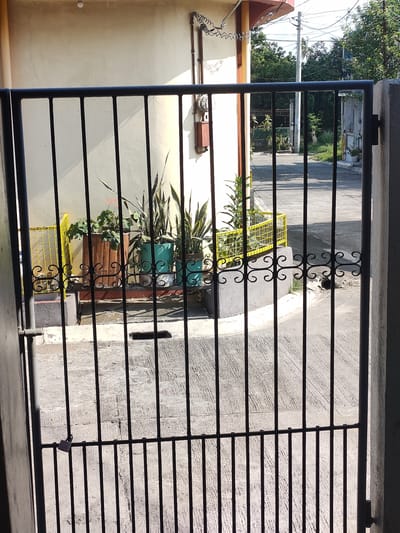 The image shows a view through a black metal gate. The gate has vertical bars and decorative scrollwork at the bottom. On the other side of the gate, there is a concrete pathway and a building wall. Several potted plants are visible, including snake plants and a plant with broad green leaves in a wooden planter. A yellow metal cage is also present. Beyond the immediate area, a street with more buildings and trees can be seen under a bright sky. The location is identified as San Pascual, Philippines.