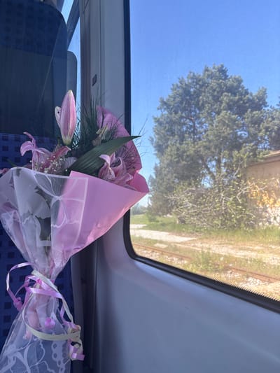 A bouquet of pink lilies wrapped in pink and white cellophane packaging rests on a blue patterned seat inside a train car. Through the overhead window, a tree and railroad tracks are visible. The location is Voysil, Bulgaria.