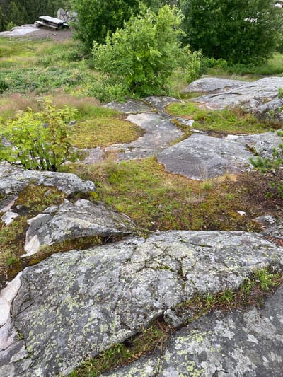 This media file depicts a natural outdoor scene, likely a rocky, forested area in Lakhdenkiulya, Russia. The foreground is dominated by large, weathered rocks covered in patches of green lichen. Sparse grass and small plants grow in the crevices between the rocks.
To the left of the rocks, a dense green forest with tall trees is visible, extending into the background. In the mid-ground, there is a patch of lighter green vegetation, possibly a meadow or an area with younger trees. A glimpse of a wooden picnic table and bench is visible on a dirt path towards the far left of the image, suggesting a recreational area within the natural landscape.
The lighting suggests it is daytime, and the overall atmosphere is serene and natural, without any signs of a specific event or activity beyond enjoying the scenery. The weather appears to be mild, with the vegetation looking lush and green. There is no visible text within the media file. The image is oriented vertically, with the rocks occupying the right side and the forest and path on the left.