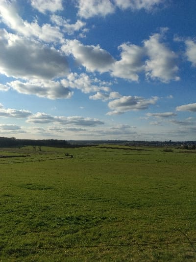 A panoramic view captures an open rural landscape in Roeser, Luxembourg. The scene is dominated by vast green fields, consistent with pastures or agricultural land, which extend from the immediate foreground to the distant horizon. A thin, dark wire, consistent with a fence line, runs horizontally across the bottom edge of the image. On the distant left and central horizon, a dark tree line is visible. Further to the right, a distant urban settlement with multiple buildings is discernible against the horizon. The upper portion of the image features a bright blue sky filled with numerous distinct white cumulus clouds of varying sizes. No individuals or animals are present in the frame.