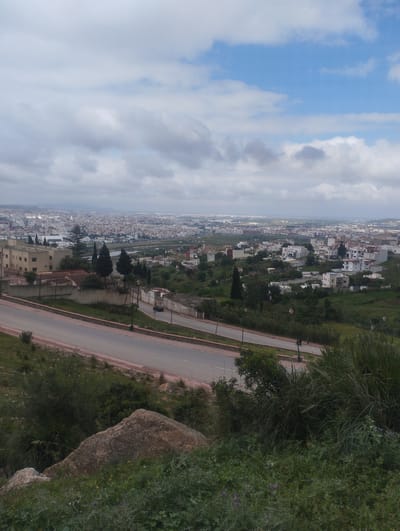 The image presents an elevated view of Tétouan, Morocco, characterized by a mix of urban and natural landscapes. In the foreground, a road curves through the scene, bordered by vegetation and a large rock. The vegetation is varied, including grasses, shrubs, and possibly some flowering plants.

Beyond the road lies a built-up area with houses and other structures, interspersed with trees. The city extends into the distance, appearing dense and sprawling. The sky is overcast with a mix of clouds and some patches of blue.

Overall, the scene is a panoramic view of Tétouan, capturing its urban sprawl against a backdrop of hills and sky. The elevated perspective provides a sense of depth and scale, while the details in the foreground offer a glimpse of the local environment.
