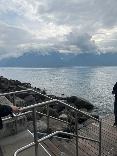 A forensic scene depiction shows a view of Lake Geneva (Lac Léman) from La Tour-de-Peilz, Switzerland, under a heavily overcast sky. In the foreground, a multi-bar stainless steel railing frames a descent via concrete steps transitioning to a dark wooden pier. A human left arm and hand, adorned with a ring, rests on the upper railing bar. To the far right, the lower body of a second individual stands on the wooden pier, clad in dark trousers and shoes, holding a dark rectangular object. The shoreline consists of large, dark grey rocks. The midground features the calm waters of Lake Geneva, with two yellow spherical buoys visible in the distant left. The background reveals a range of dark blue-grey mountains, the Swiss Alps, with their peaks partially enveloped by dense clouds.
