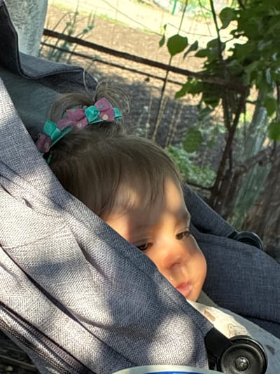 A young child, likely a toddler, is partially visible and seated within a gray fabric baby stroller or pram. The child has dark hair styled with two small bows; one is prominent, featuring a pink base with white polka dots and a teal-green accent, while another similar teal-green bow is partially visible below it. Strong, dappled sunlight illuminates the child's face, particularly the right side, with distinct shadows cast across the features and the surrounding gray fabric, which exhibits a textured weave. The child's eyes are directed downwards and to the right, with a hint of moisture or saliva visible around the lips. A portion of a black wheel or structural component of the stroller is visible in the lower right. The background is an out-of-focus outdoor environment, revealing green foliage from trees and bushes, along with what appears to be dry earth or agricultural land and horizontal structures resembling fences or trellises. The scene is located in Radievo, Bulgaria.