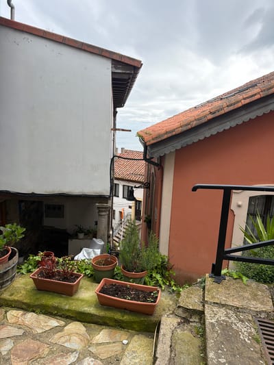 This image captures a downward-sloping view within the city of Colunga, Spain, depicting a narrow residential passage. In the immediate foreground, a path constructed from irregular, flat stone slabs leads to moss-covered stone steps and a raised stone ledge. This ledge holds several potted plants, including a large wooden barrel planter, multiple terracotta rectangular planters containing small green plants and herbs, and round green pots. A black metal railing with a horizontal top bar is anchored to the right side of the stone steps, partially obscuring a metal drain grate.

To the left, a multi-story building features a stark white stucco facade and a terra cotta tiled roof. Its lower section presents a recessed area, supported by a rough stone pillar, revealing a darker interior space containing a white plastic container and additional potted plants. Exposed wooden roof supports are visible beneath the eaves.

To the right, a building exhibits a salmon-colored stucco exterior with a terra cotta tiled roof. Dark, scalloped trim adorns the eaves. A window with a cream-colored frame and white lace curtains is partially visible behind the black railing. A dark metal downspout runs vertically along this building's facade.

Between the two dominant structures, a descending alley reveals further residential buildings characterized by white walls, dark-framed windows, and terra cotta roofs. A dark, ornate hanging lantern is affixed to one of these background buildings. A segment of the grey sea is visible on the distant horizon, under an overcast sky. No individuals, animals, or vehicles are present.